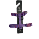 Pretal H Color Violeta Talle P