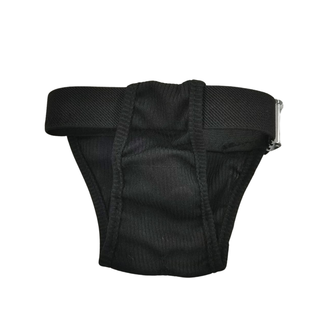 13030.png Bombacha Para Celo Pawise XS - Imagen 1