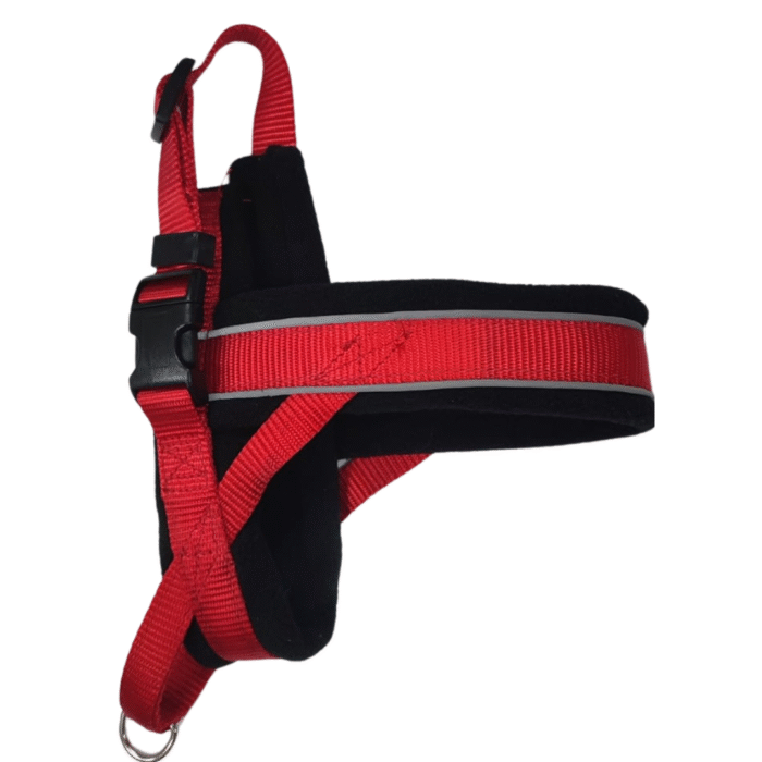 Pretal Rojo Talle S Pawise - Imagen 1