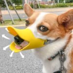 Bozal Goma PATO L BABY-78