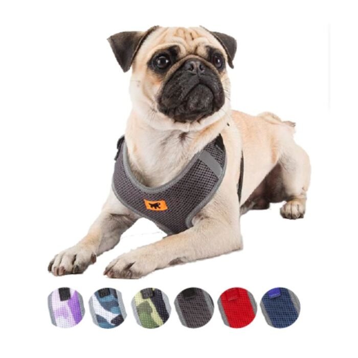 Arnés Para Perros Nikita P XXS - Imagen 1