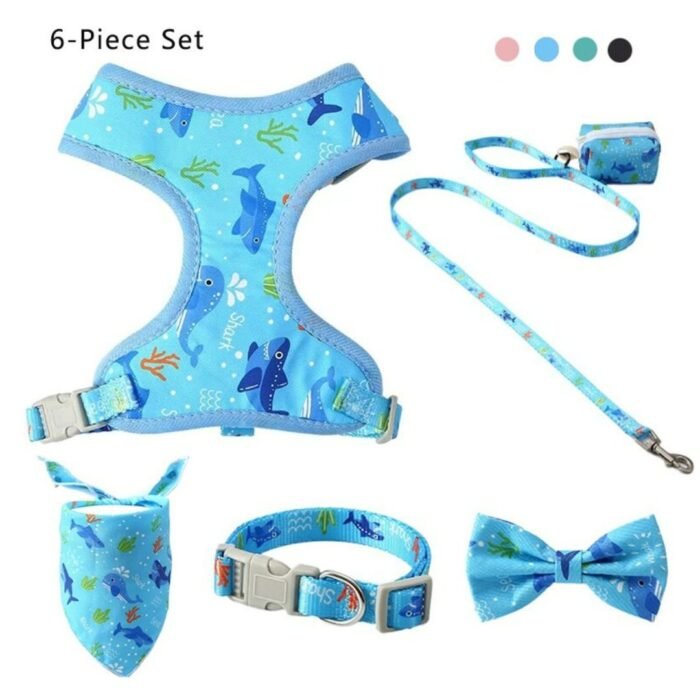 Arnés con Accesorios Celeste - Imagen 1