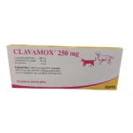 Clavamox 250Mg