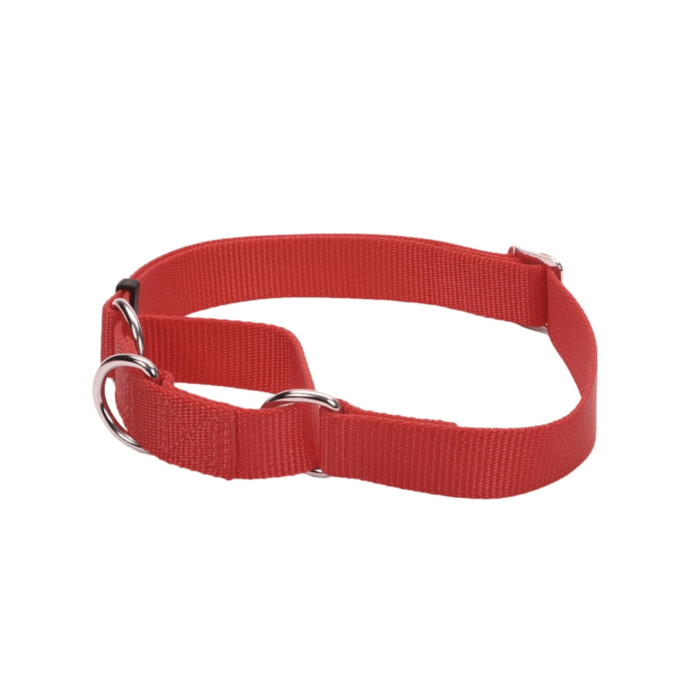 Collar Coastal Broche Metalico L Verde - Imagen 1