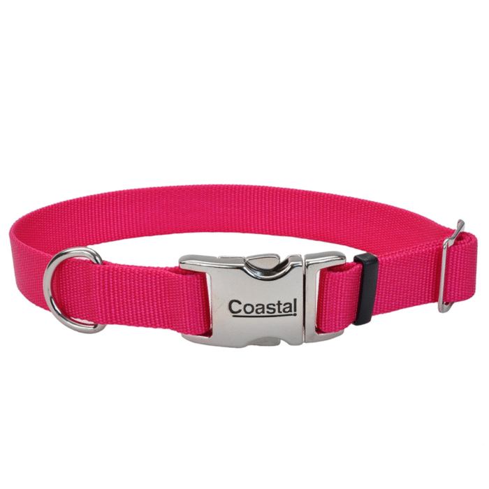 Collar Coastal Fuccia Broche Metalico L - Imagen 1