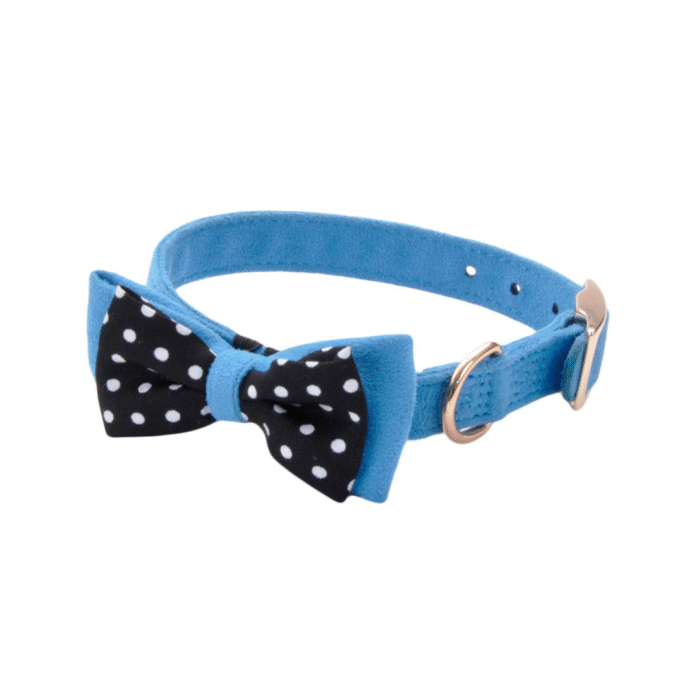 Collar Coastal Gamuza Moño Celeste M - Imagen 1