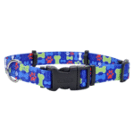 Collar Coastal Huellitas S