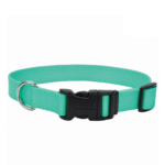Collar Coastal Verde Agua M