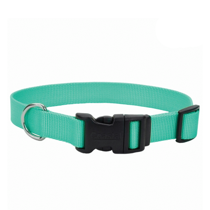 Collar Coastal Verde Agua M - Imagen 1
