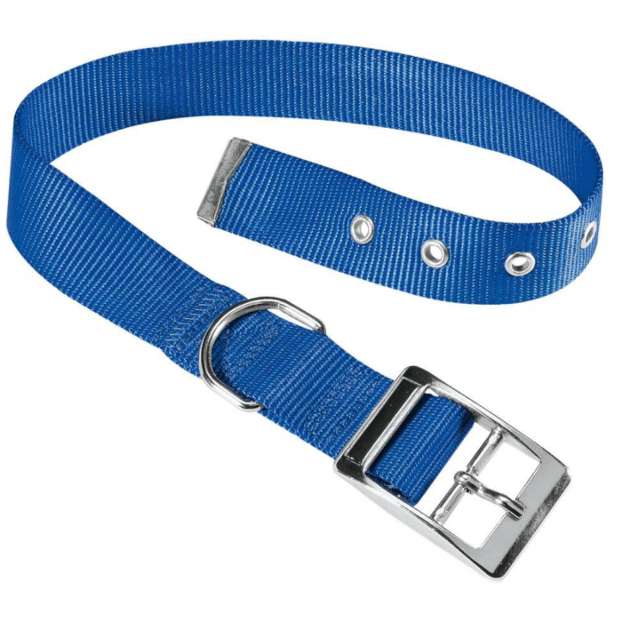 Collar Daytona Para Perros C25/45 Blue - Imagen 1