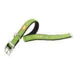 Collar Dual C25x45 Para Perros Verde