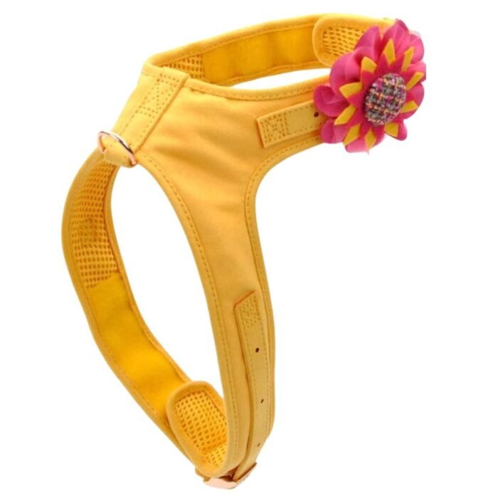 Pretal Amarillo Con Flor Coastal M - Imagen 1