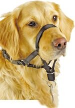 Dogal Pawise Talle 5 - Imagen 4