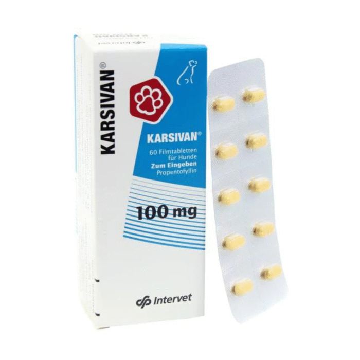 Karsivan Blister Pastilla - Imagen 1