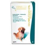 Revolution De 20 A 40 Kg