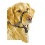 Pawise Dogal de control Talle 3 - Imagen 2