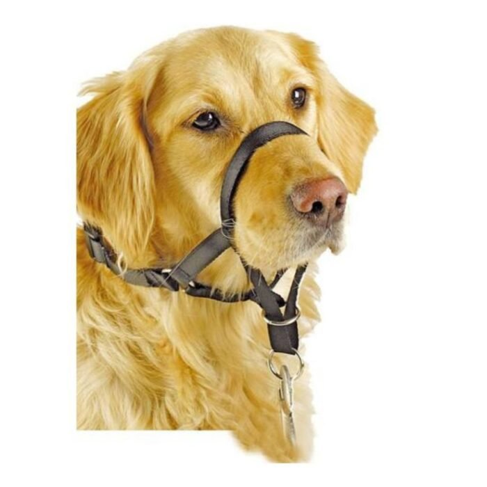 Pawise Dogal de control Talle 3 - Imagen 2