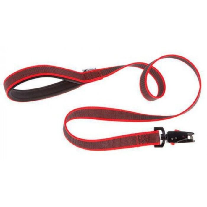 Correa Daytona G20/120 Roja - Imagen 1