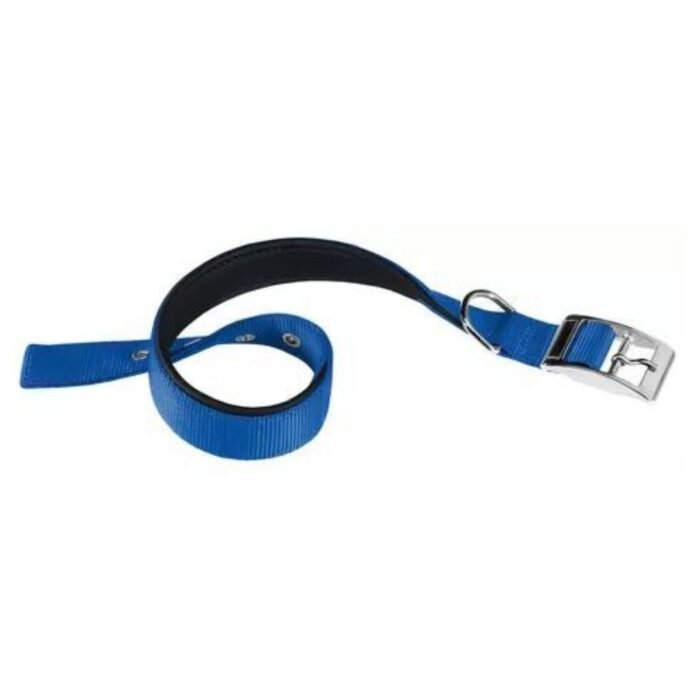 Collar Daytona C40/69 Azul - Imagen 1