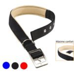 Collar Daytona C30/55 Negro