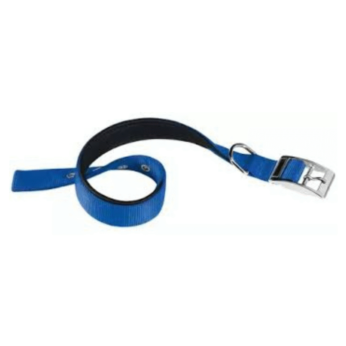 Collar Daytona C20/43 Azul - Imagen 1